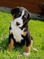 Benny 